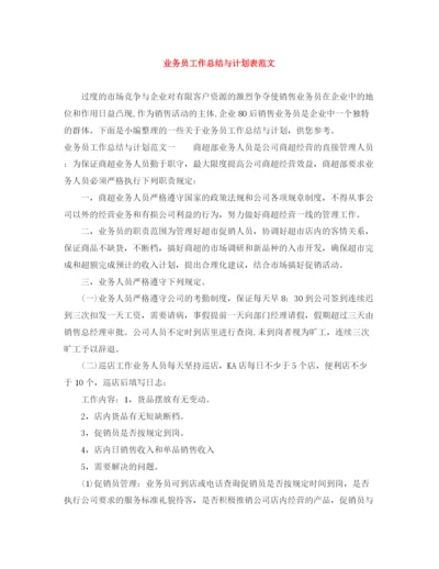 精编之业务员工作总结与计划表范文.docx