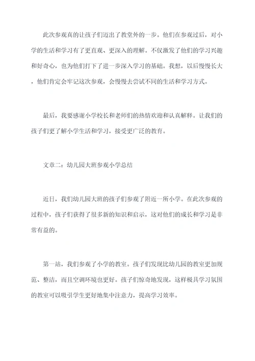 幼儿园大班参观小学总结