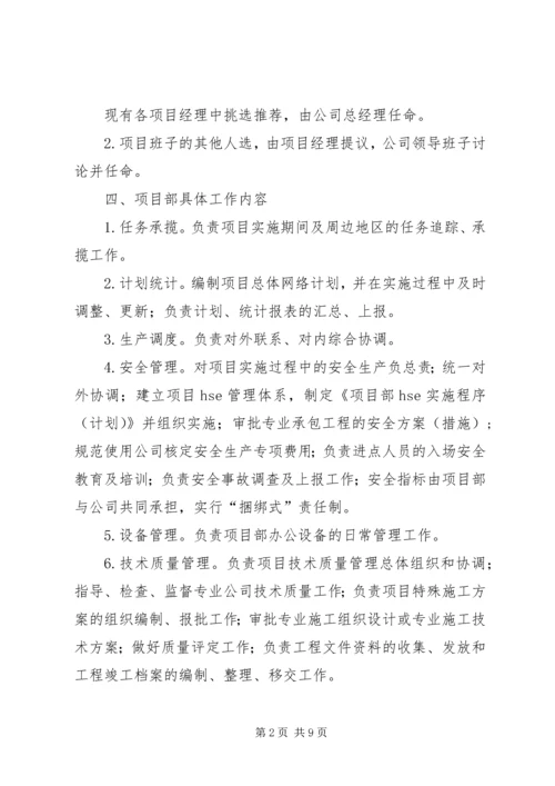 公司项目部管理规定范文大全.docx