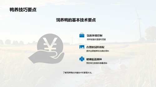 鸭群养殖：技术与策略