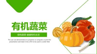 绿色原生态大棚蔬菜果蔬种植基地ppt模板