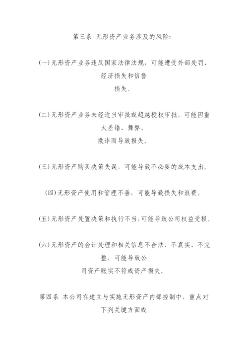 无形资产管理制度.docx