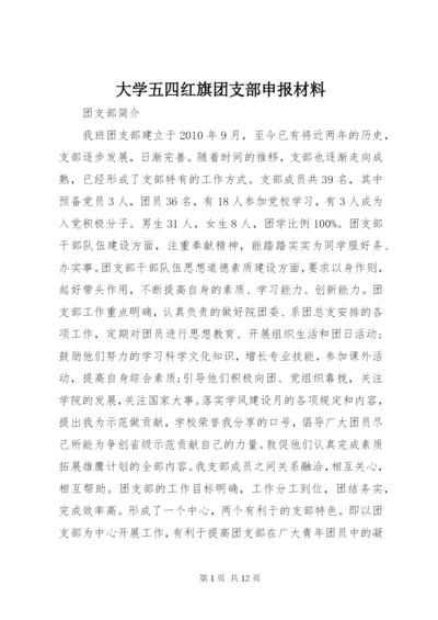 大学五四红旗团支部申报材料 (4).docx