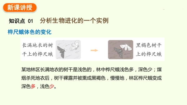 7.3.3生物进化的原因-八年级生物人教版下学期同步精品课件(共44张PPT)