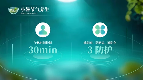 绿色创意风小暑节气讲解节气知识PPT模板