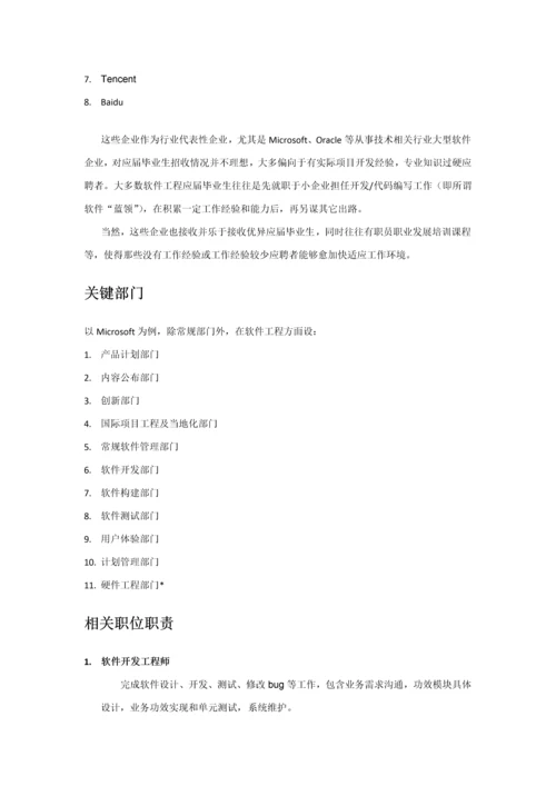 软件综合项目工程发展调研分析报告.docx