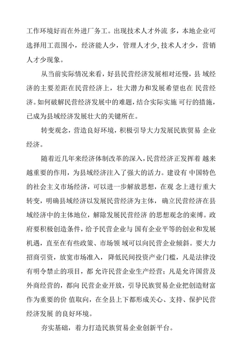 民族贸易经济发展的对策和建议
