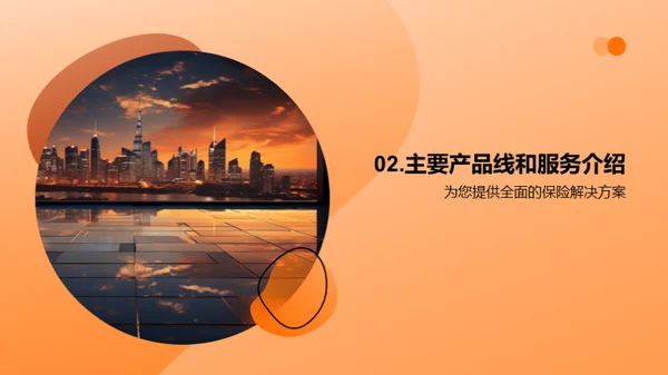 保险领航者：XX公司纵览