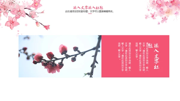 三生三世十里桃花浪漫爱情通用PPT模板