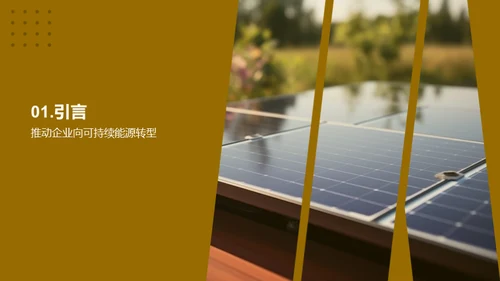 绿色能源：未来的主力