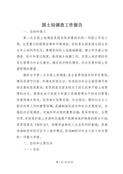国土局调查工作报告.docx