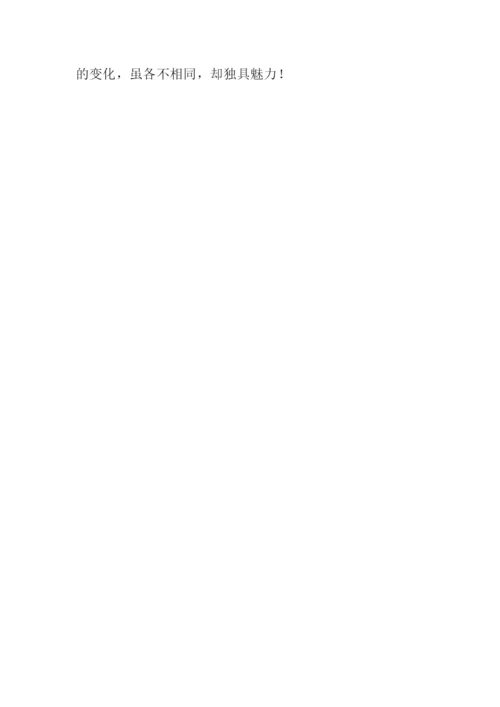 体验四季的气息作文1000字.docx