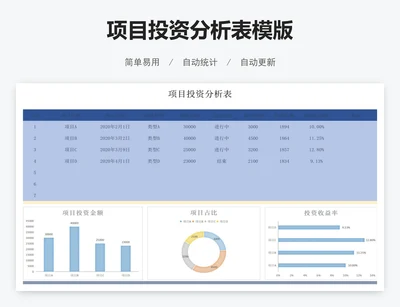 项目投资分析表模版