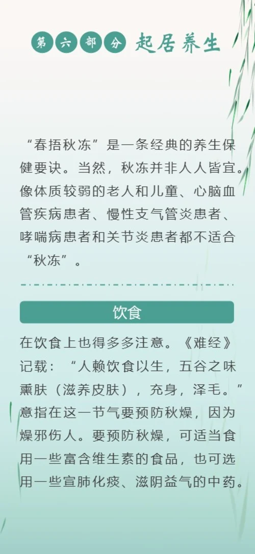 白露节气二十四节气知识手机竖版PPT课件
