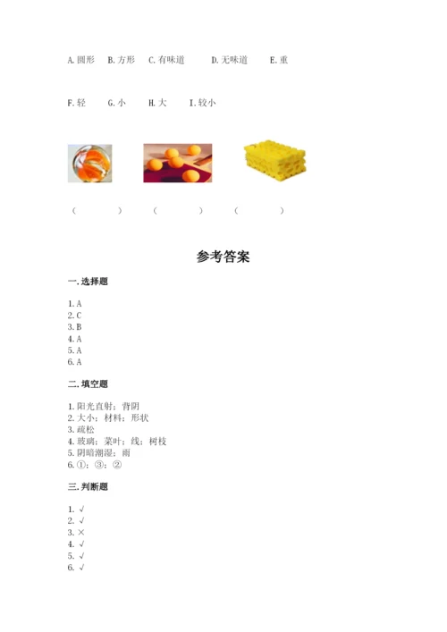 教科版一年级下册科学期末测试卷精品【综合题】.docx