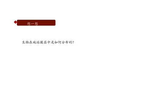 1.2.3 生物圈是最大的生态系统 课件（共28张PPT）