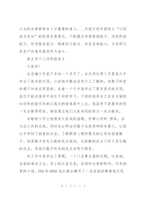 营业员个人述职报告范文.docx