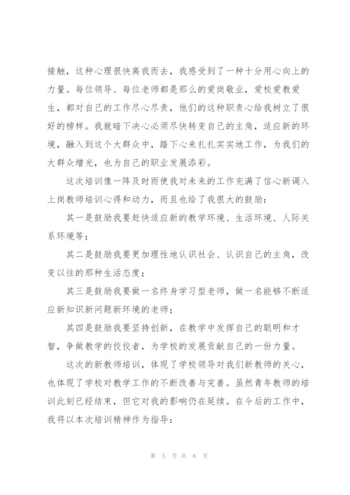 青年教师培训工作总结1000字.docx