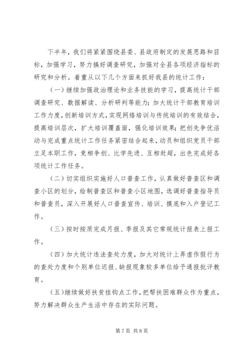 统计局上半年工作总结和下半年工作计划 (2).docx