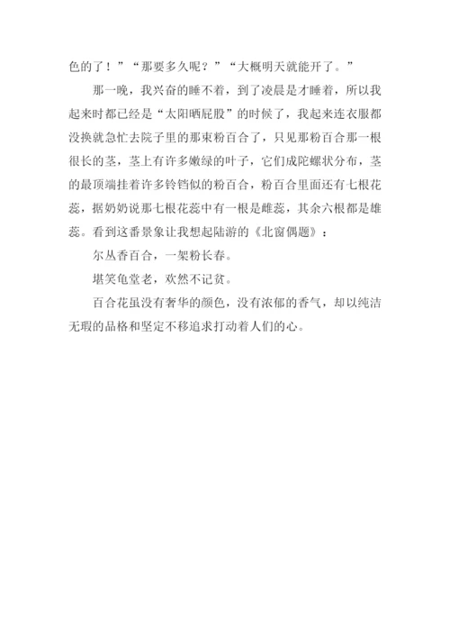 关于花的作文600字.docx