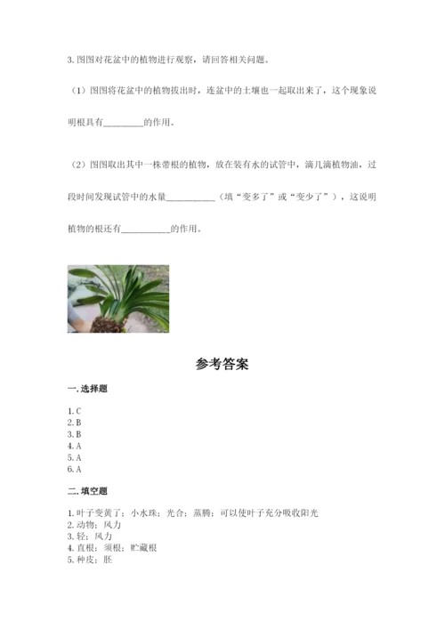 教科版科学四年级下册第一单元《植物的生长变化》测试卷必考题.docx