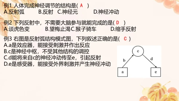 第四单元第五、六章复习课件(共33张PPT)人教版七年级下册