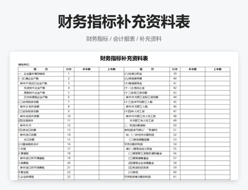 外商投资企业会计报表