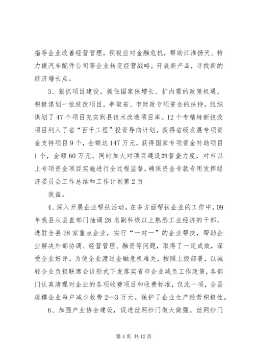 经济委员会工作总结和工作计划 (2).docx