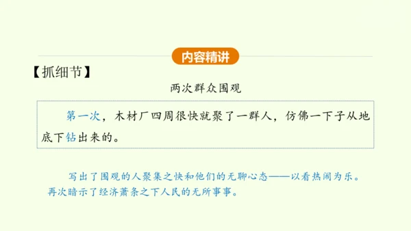 第6课 变色龙 课件(共38张PPT)-【课堂无忧】新课标同步核心素养课堂