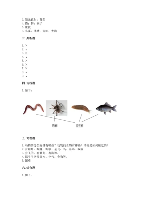 教科版一年级下册科学期末测试卷【重点班】.docx