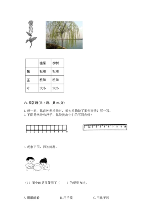 教科版一年级上册科学期末测试卷（达标题）.docx