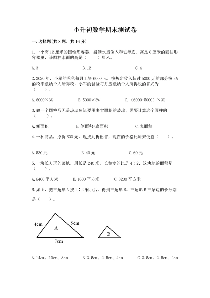 小升初数学期末测试卷（有一套）.docx