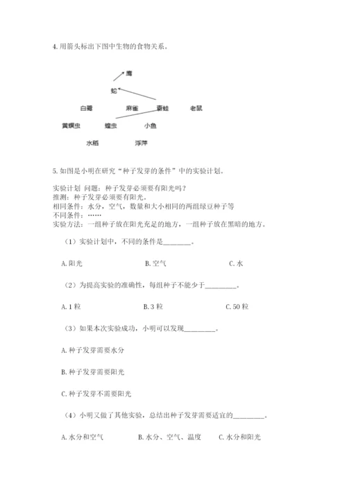 教科版科学五年级下册第一单元《生物与环境》测试卷精品（完整版）.docx