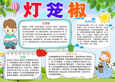 灯笼椒成长日记小报植物生长手抄报电子小报