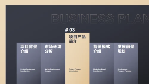黑色商务范商业计划书通用PPT模板