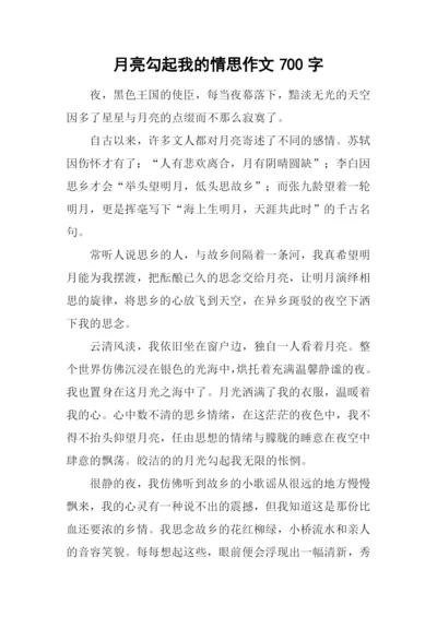 月亮勾起我的情思作文700字.docx