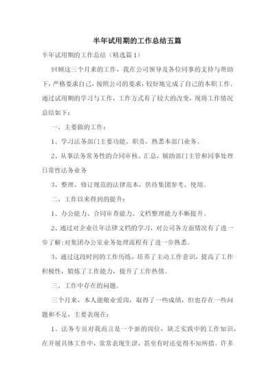 半年试用期的工作总结五篇.docx