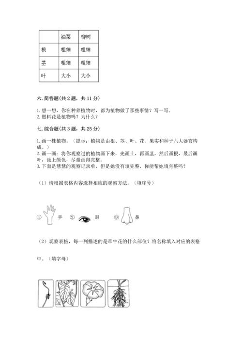 教科版科学一年级上册第一单元《植物》测试卷及参考答案【b卷】.docx