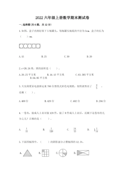 2022六年级上册数学期末测试卷及参考答案【突破训练】.docx