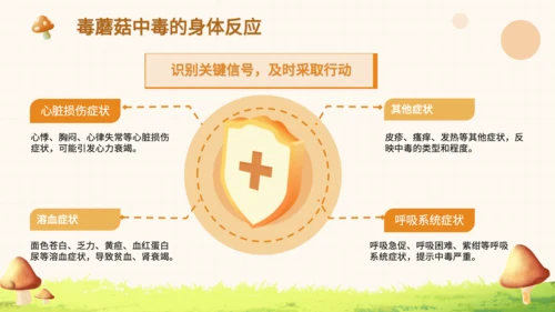 橙色卡通风毒蘑菇识别与误食应急处理PPT
