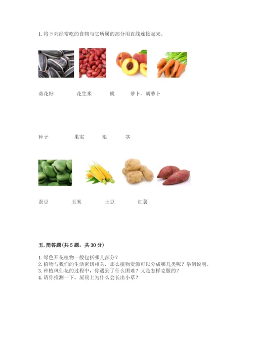 教科版科学四年级下册第一单元《植物的生长变化》测试卷及完整答案.docx