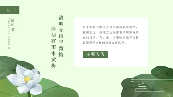 绿色中国风荷花清明节PPT模板