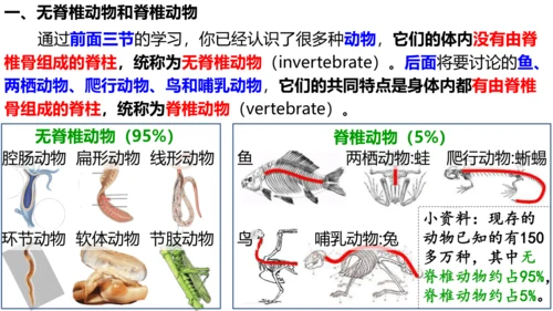人教版生物八年级上册5.1.4《鱼》课件(共17张PPT)