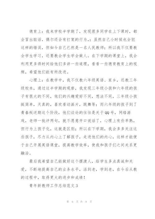 青年新教师工作总结范文.docx