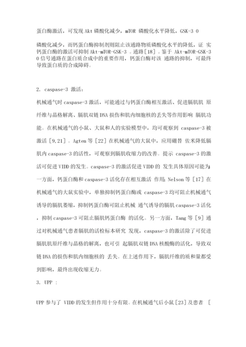 2022呼吸机相关膈肌功能障碍的主要发病机制2.docx