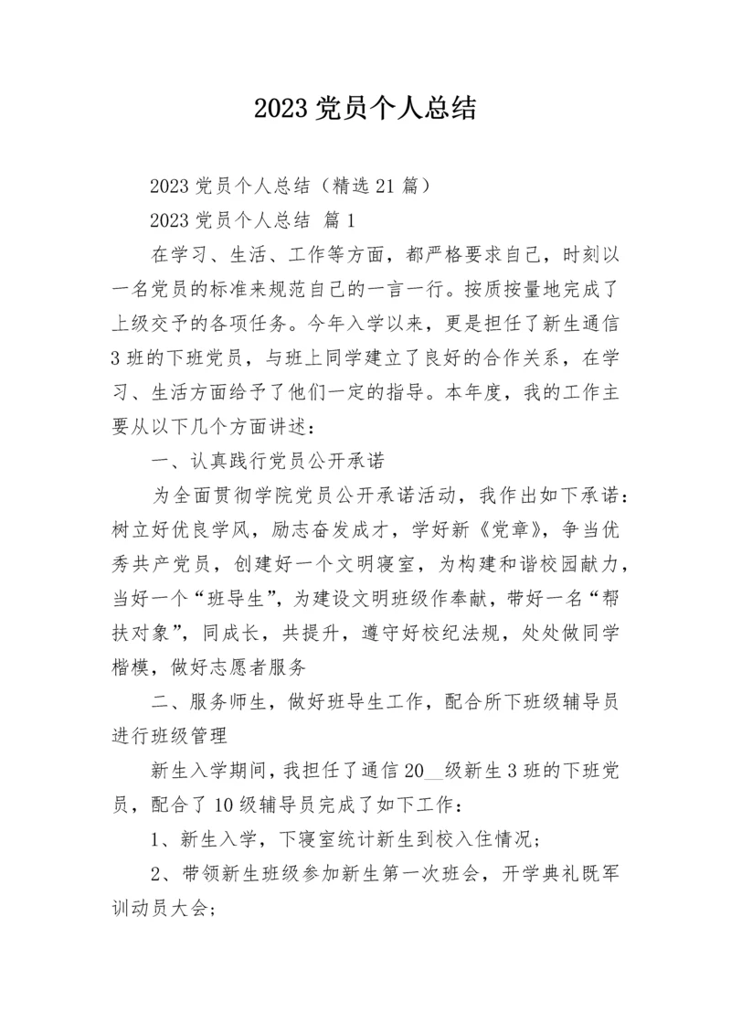 2023党员个人总结.docx