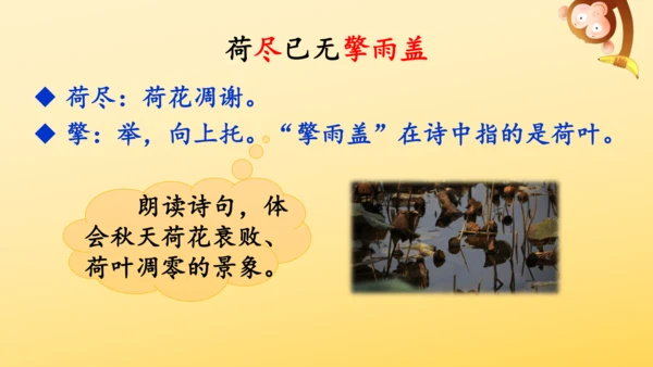 4 古诗三首  课件