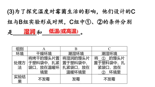 人教版生物八年级上册5.4.1《细菌和真菌的分布》课件(共22张PPT)