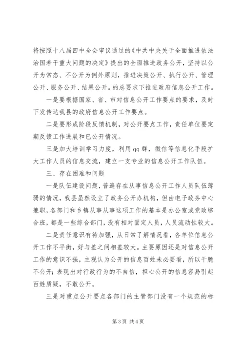 县政府政务公开XX年度工作要点落实情况自查报告.docx