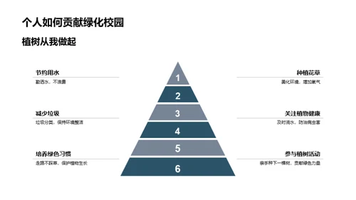 校园绿化行动